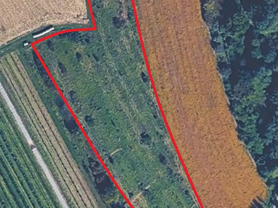 Immagine 21 di Terreno in vendita  in Via San Zanut a San Pier D'isonzo