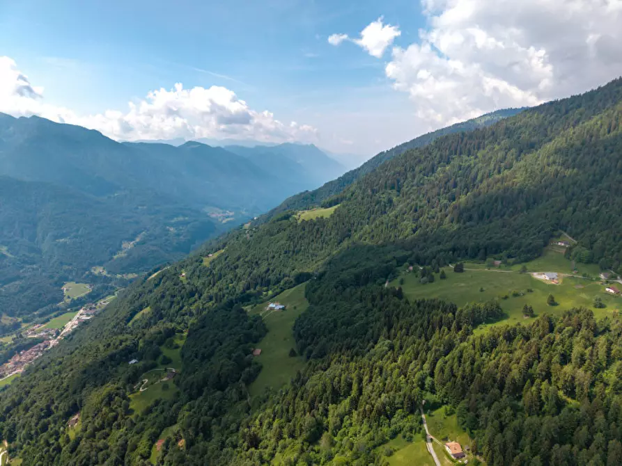 Immagine 5 di Rustico / casale in vendita  in Roncone a Sella Giudicarie