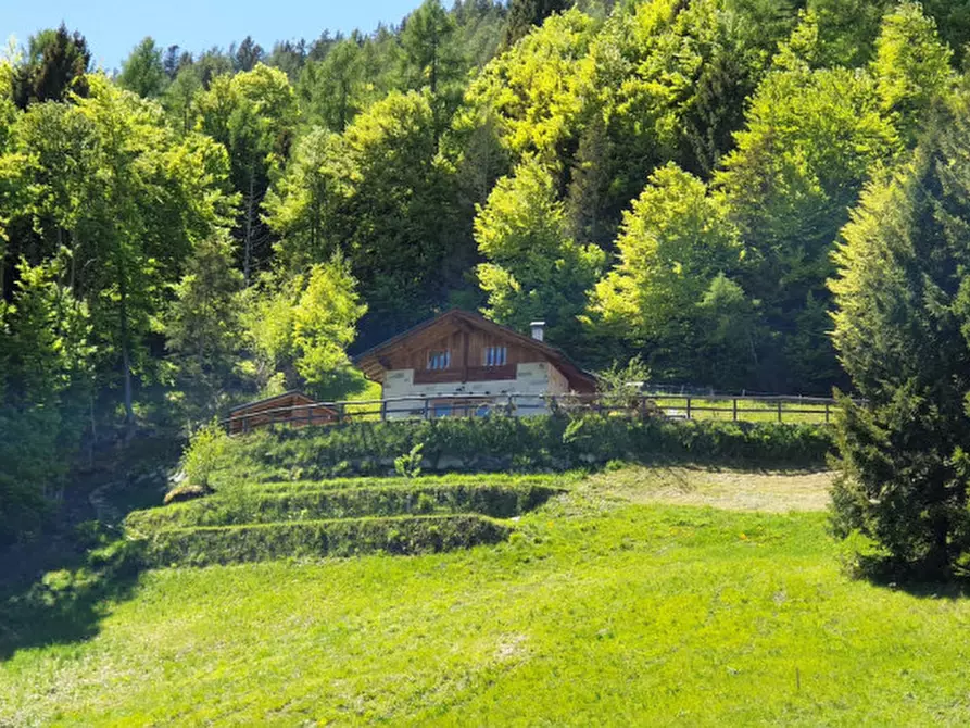 Immagine 18 di Rustico / casale in vendita  in Roncone a Sella Giudicarie