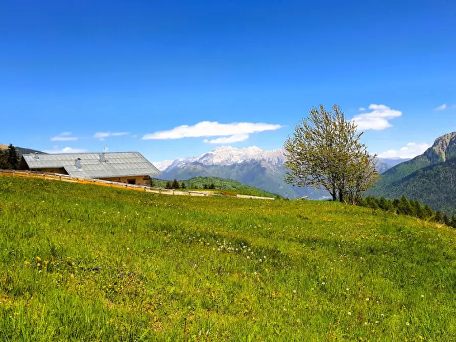 Immagine 19 di Rustico / casale in vendita  in Roncone a Sella Giudicarie