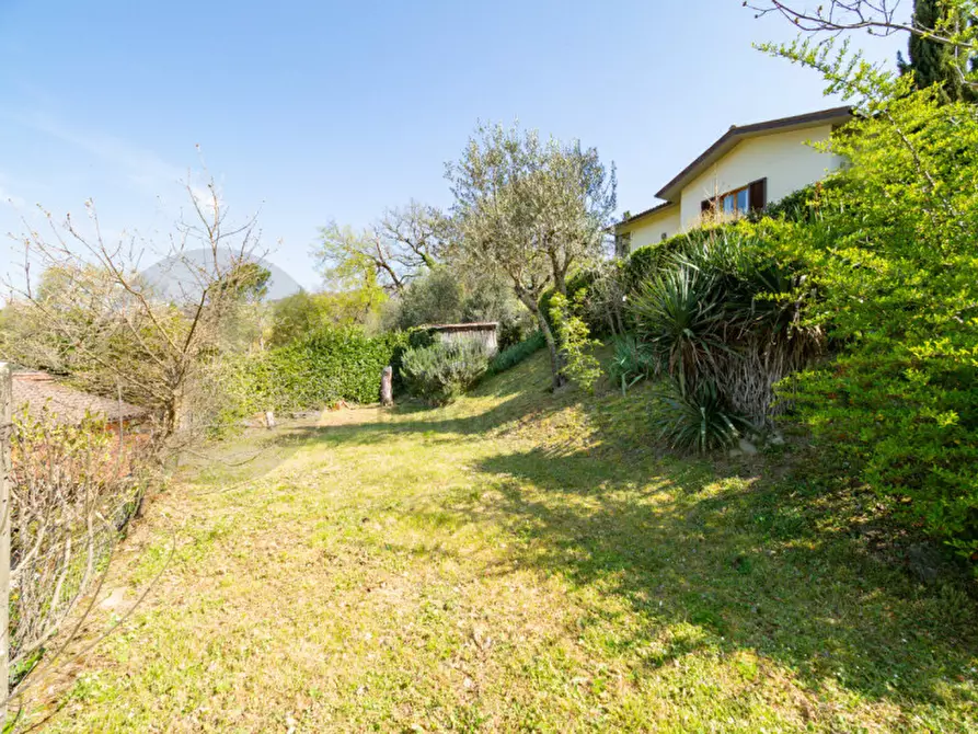 Immagine 1 di Appartamento in vendita  a Londa