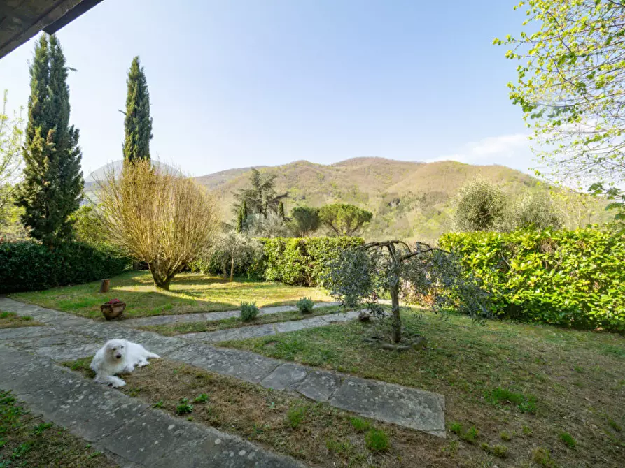 Immagine 25 di Appartamento in vendita  a Londa
