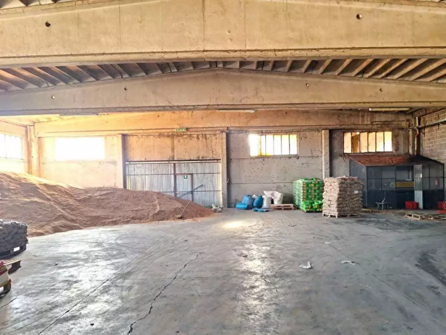 Immagine 2 di Capannone industriale in vendita  in Via Casesparse, Castel Ritaldi PG, Italia a Castel Ritaldi
