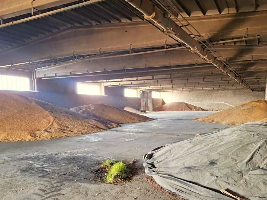 Immagine 5 di Capannone industriale in vendita  in Via Casesparse, Castel Ritaldi PG, Italia a Castel Ritaldi