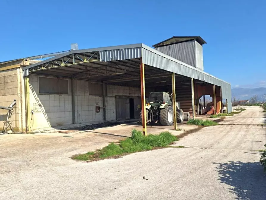 Immagine 7 di Capannone industriale in vendita  in Via Casesparse, Castel Ritaldi PG, Italia a Castel Ritaldi