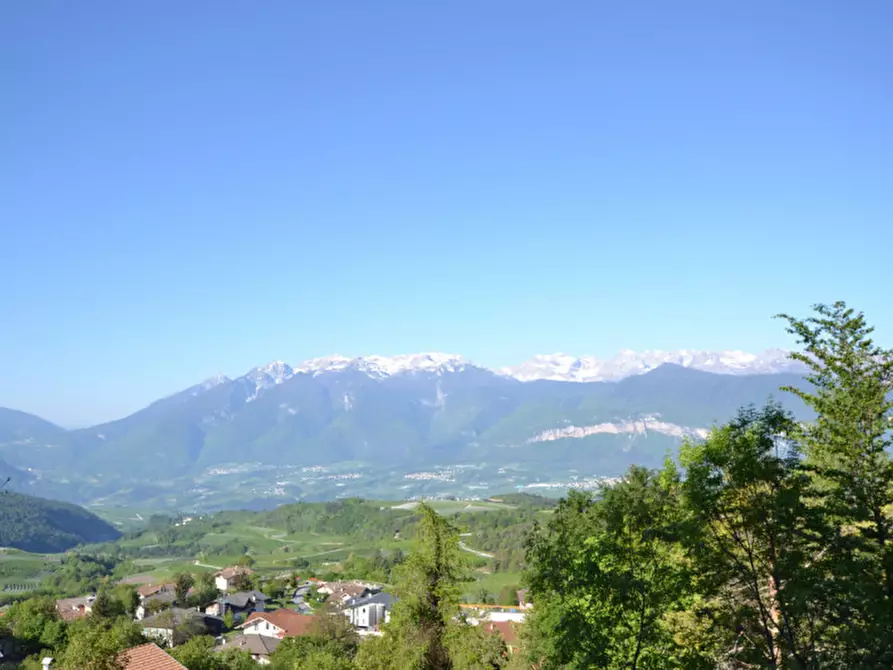 Immagine 29 di Appartamento in vendita  a Predaia