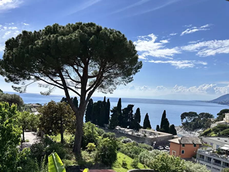 Immagine 3 di Appartamento in vendita  in Via Migliaro a Camogli