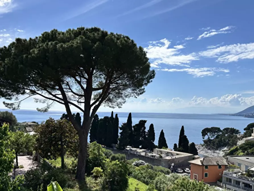 Immagine 13 di Appartamento in vendita  in Via Migliaro a Camogli