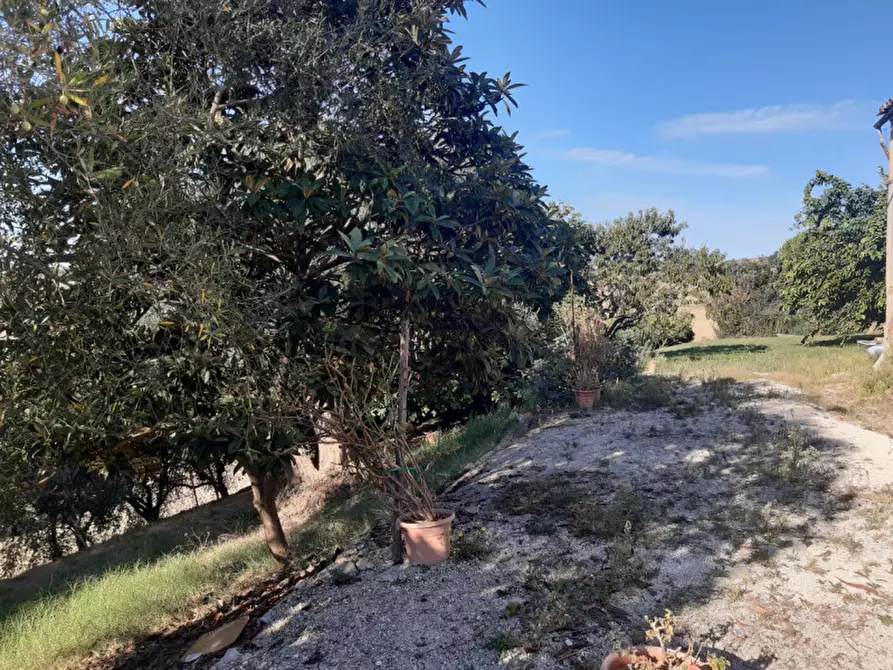 Immagine 4 di Casa indipendente in vendita  in VIA SANTA CRISTINA 14 a Montecassiano