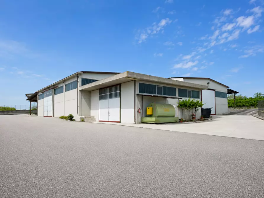 Immagine 1 di Capannone industriale in vendita  in Via Fontanelle a Castelnuovo Del Garda