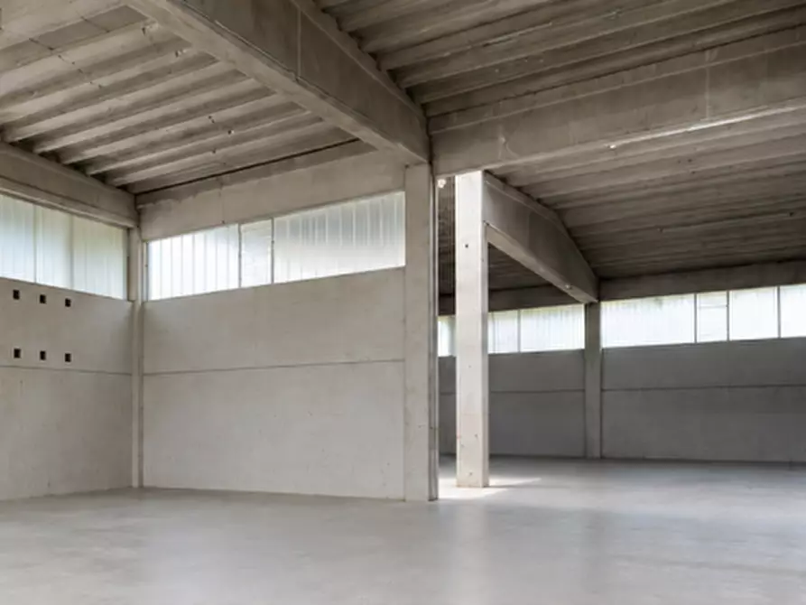 Immagine 2 di Capannone industriale in vendita  in Via Fontanelle a Castelnuovo Del Garda