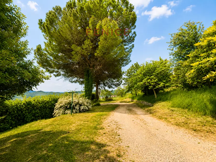 Immagine 3 di Villa in vendita  in Via Giardin a Possagno