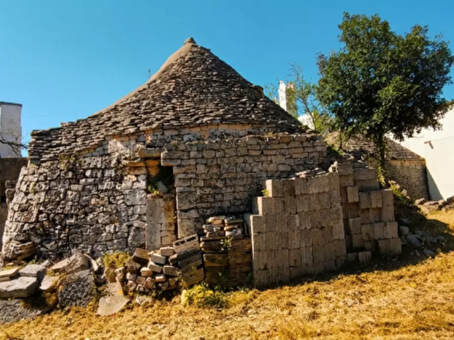 Immagine 11 di Rustico / casale in vendita  in Scianna a Locorotondo