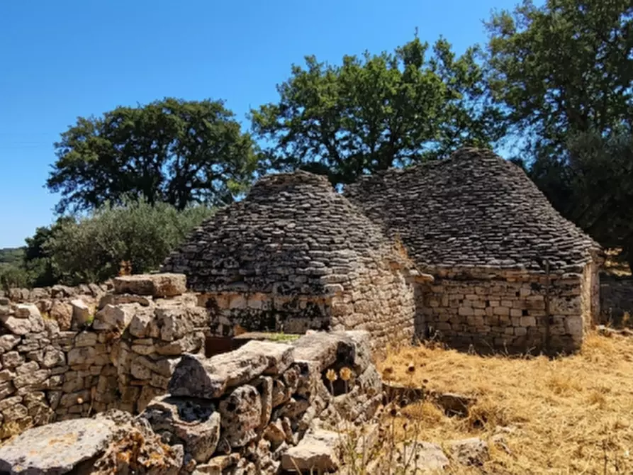 Immagine 12 di Rustico / casale in vendita  in Scianna a Locorotondo