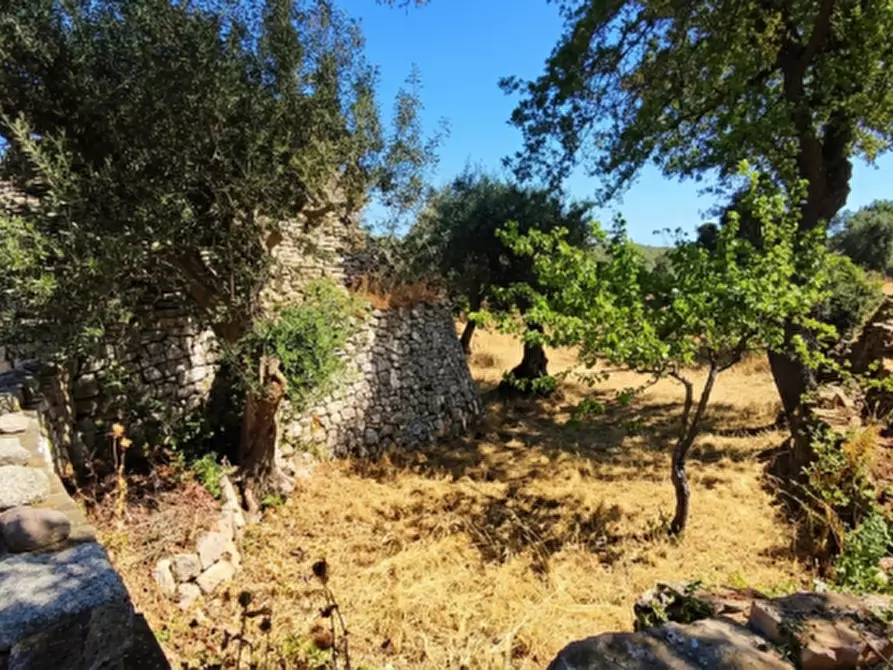 Immagine 13 di Rustico / casale in vendita  in Scianna a Locorotondo