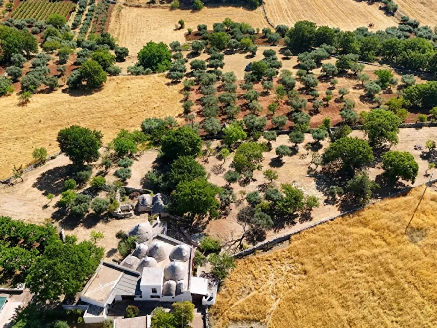 Immagine 14 di Rustico / casale in vendita  in Scianna a Locorotondo