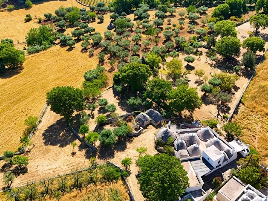 Immagine 15 di Rustico / casale in vendita  in Scianna a Locorotondo