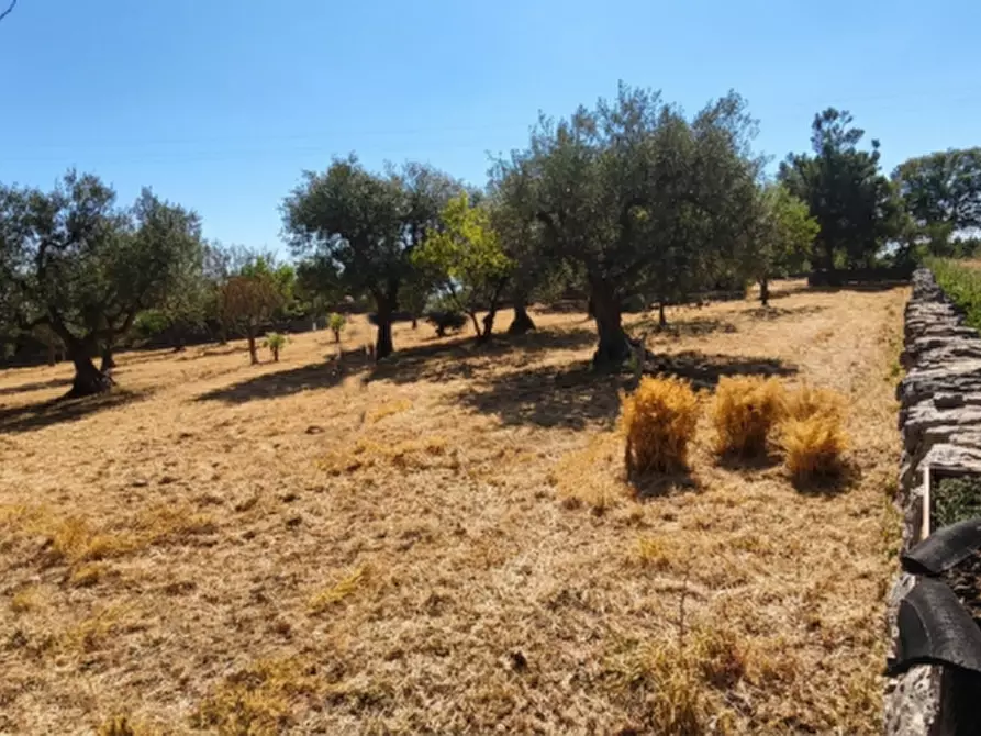 Immagine 54 di Rustico / casale in vendita  in Scianna a Locorotondo