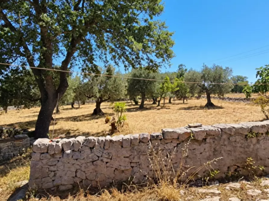 Immagine 55 di Rustico / casale in vendita  in Scianna a Locorotondo