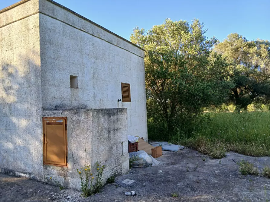 Immagine 1 di Rustico / casale in vendita  in C.da Piatone a Ostuni