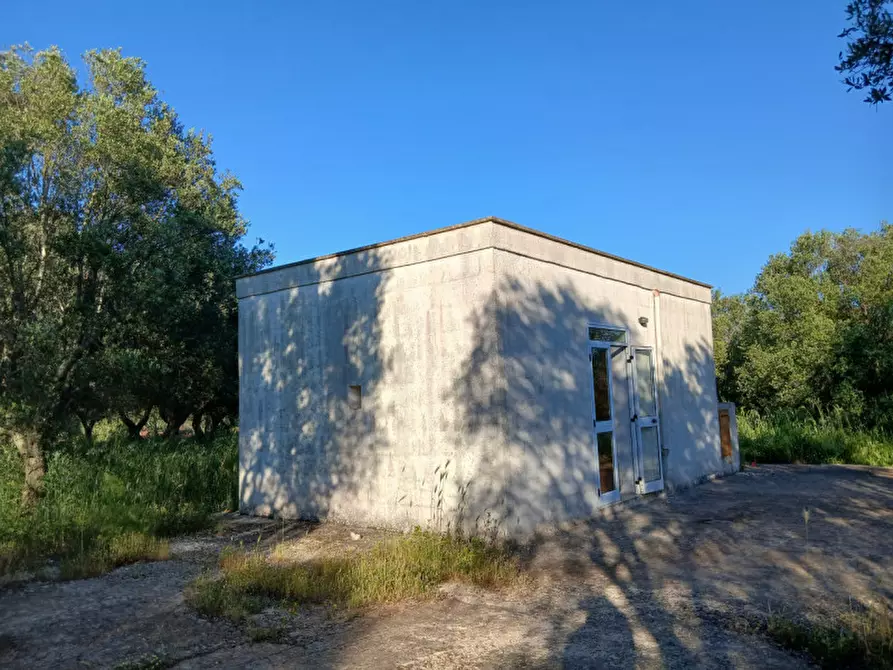 Immagine 2 di Rustico / casale in vendita  in C.da Piatone a Ostuni