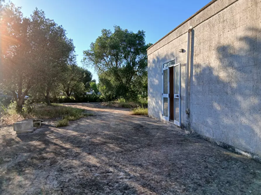 Immagine 3 di Rustico / casale in vendita  in C.da Piatone a Ostuni