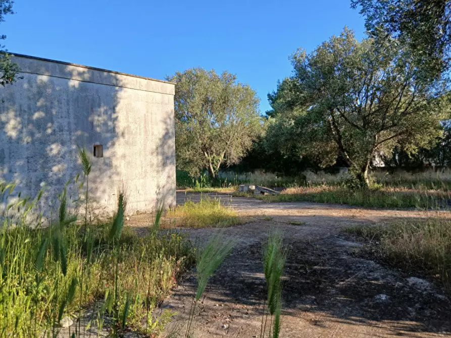 Immagine 5 di Rustico / casale in vendita  in C.da Piatone a Ostuni