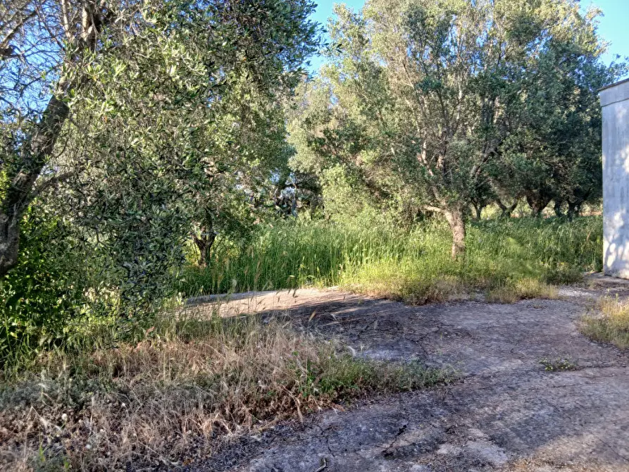 Immagine 16 di Rustico / casale in vendita  in C.da Piatone a Ostuni