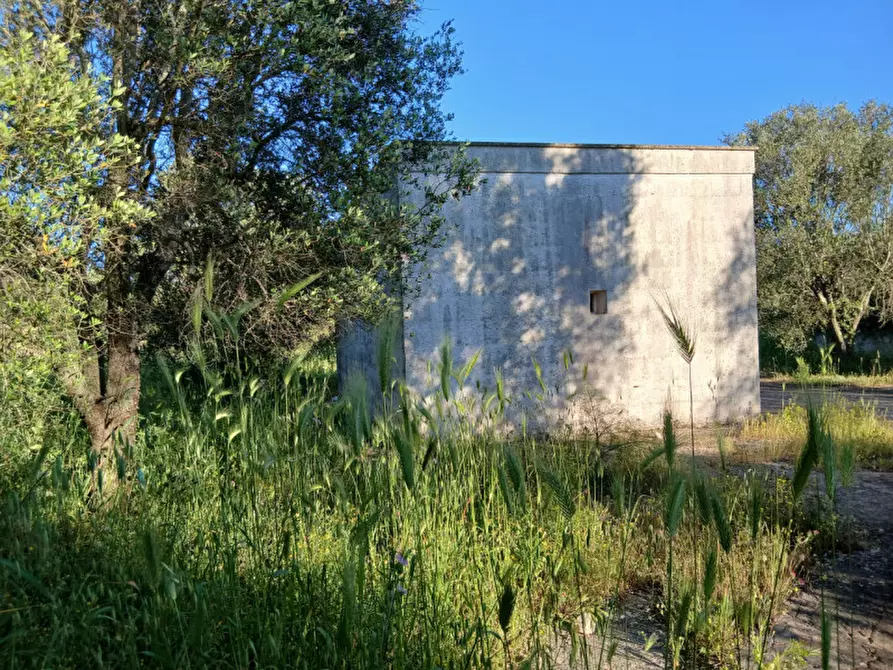 Immagine 18 di Rustico / casale in vendita  in C.da Piatone a Ostuni