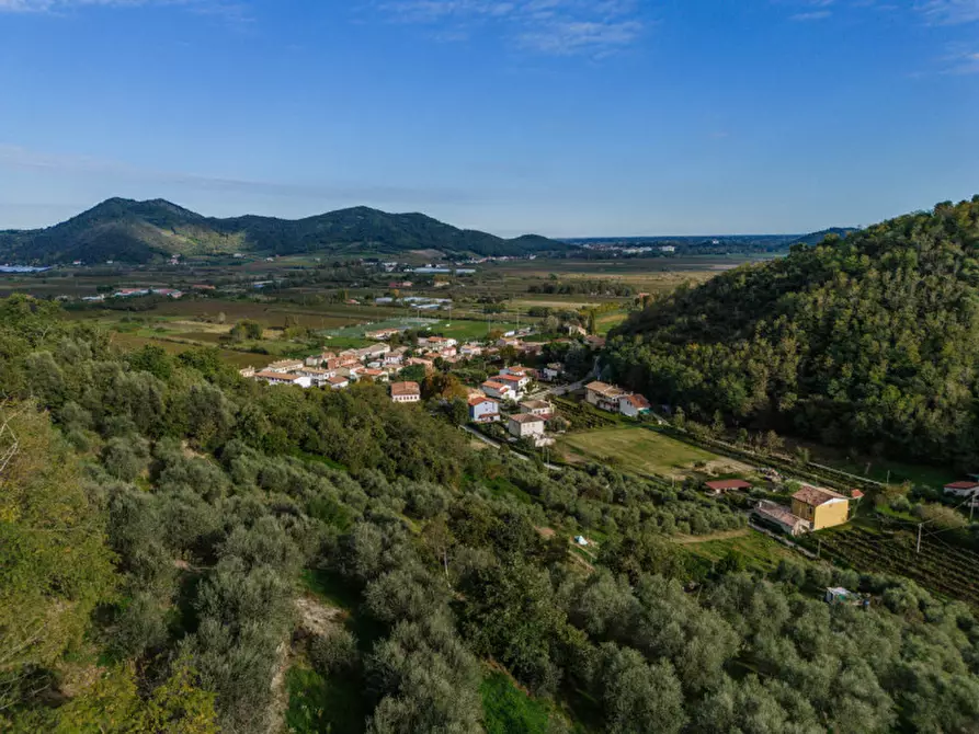 Immagine 2 di Villa in vendita  in Via Fratelli Cervi a Galzignano Terme