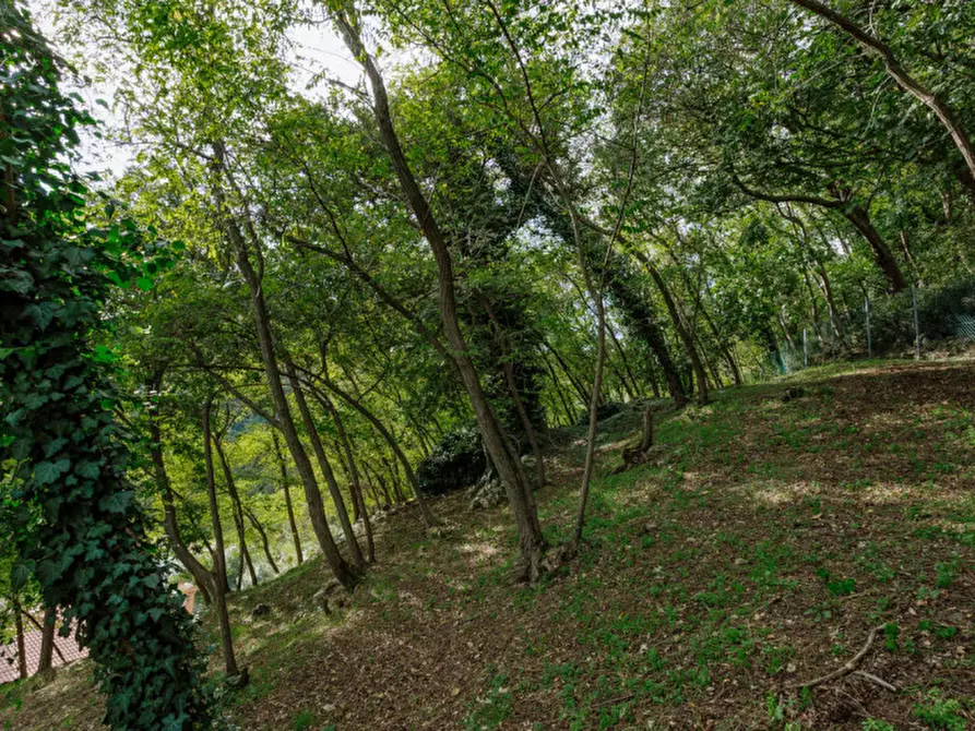 Immagine 65 di Villa in vendita  in Via Fratelli Cervi a Galzignano Terme