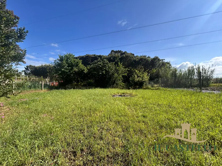 Immagine 16 di Appartamento in vendita  in pineta a Castiglione Del Lago
