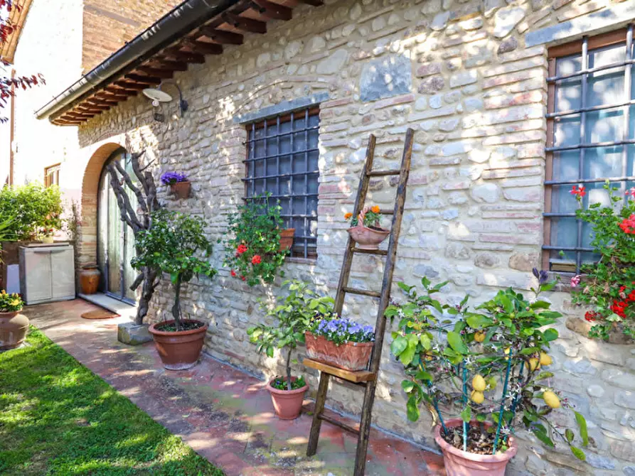 Immagine 3 di Rustico / casale in vendita  in Montagnana a Montespertoli