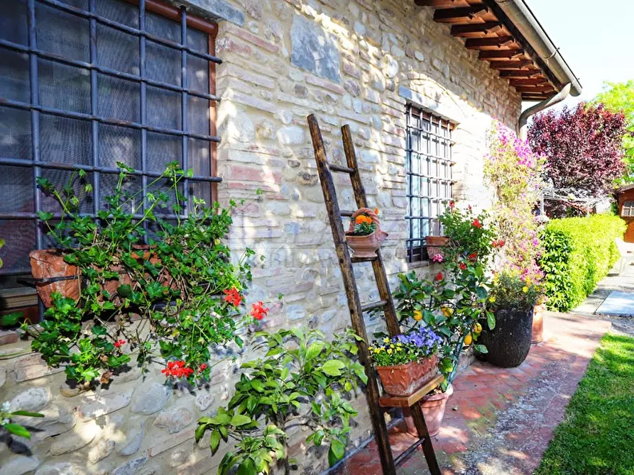 Immagine 4 di Rustico / casale in vendita  in Montagnana a Montespertoli