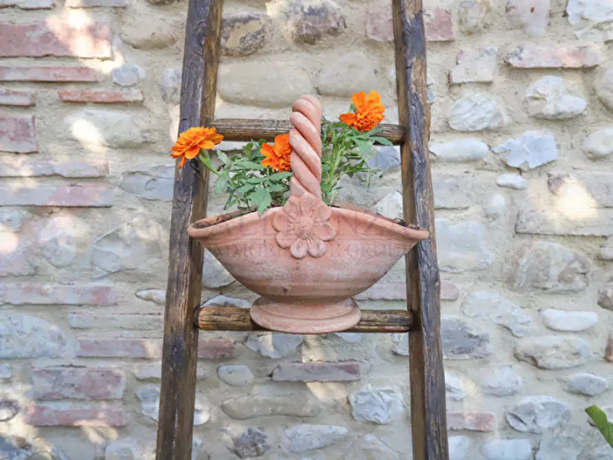 Immagine 6 di Rustico / casale in vendita  in Montagnana a Montespertoli