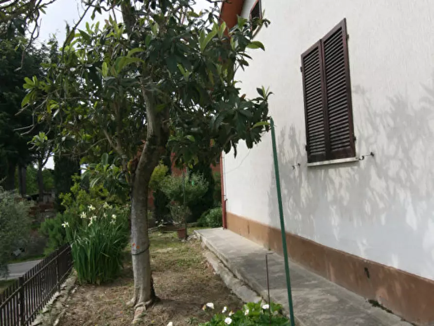 Immagine 5 di Casa indipendente in vendita  a Foiano Della Chiana