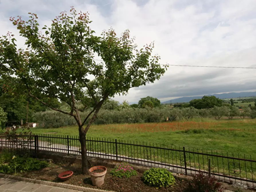 Immagine 21 di Casa indipendente in vendita  a Foiano Della Chiana