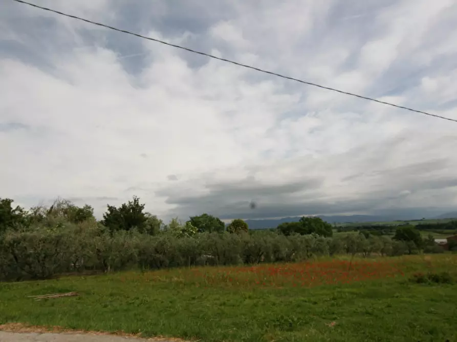 Immagine 23 di Casa indipendente in vendita  a Foiano Della Chiana