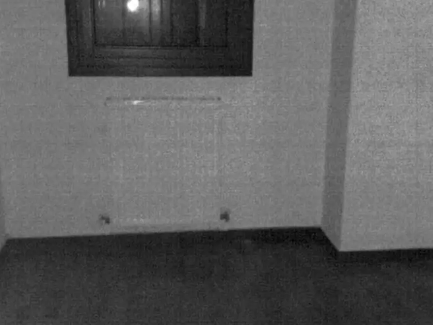 Immagine 9 di Appartamento in vendita  in Via Isonzo, 16 a Vigonovo