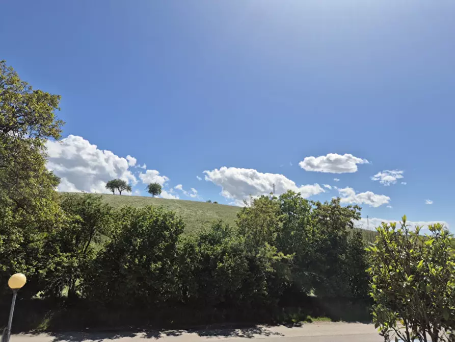Immagine 6 di Appartamento in vendita  in via ponte 15 a Bosco Chiesanuova