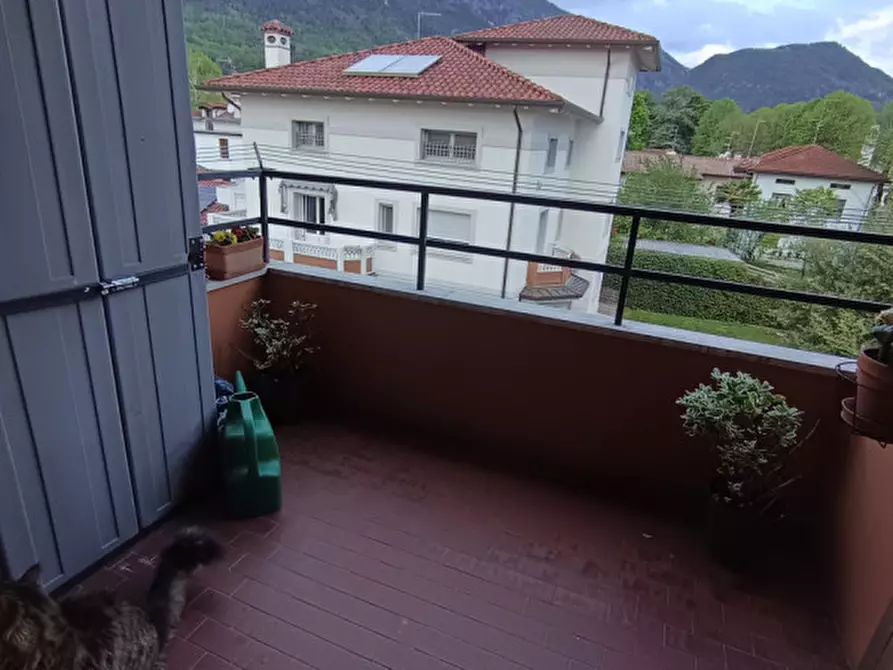 Immagine 15 di Appartamento in vendita  in Via Dante Alighieri a Maniago