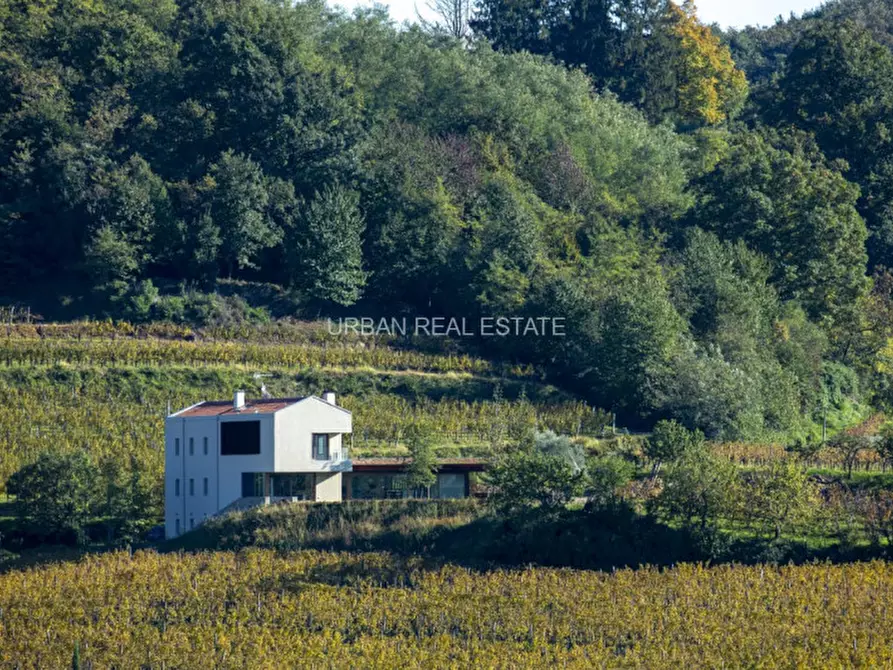 Immagine 11 di Villa in vendita  in Località Valerisce a San Floriano Del Collio
