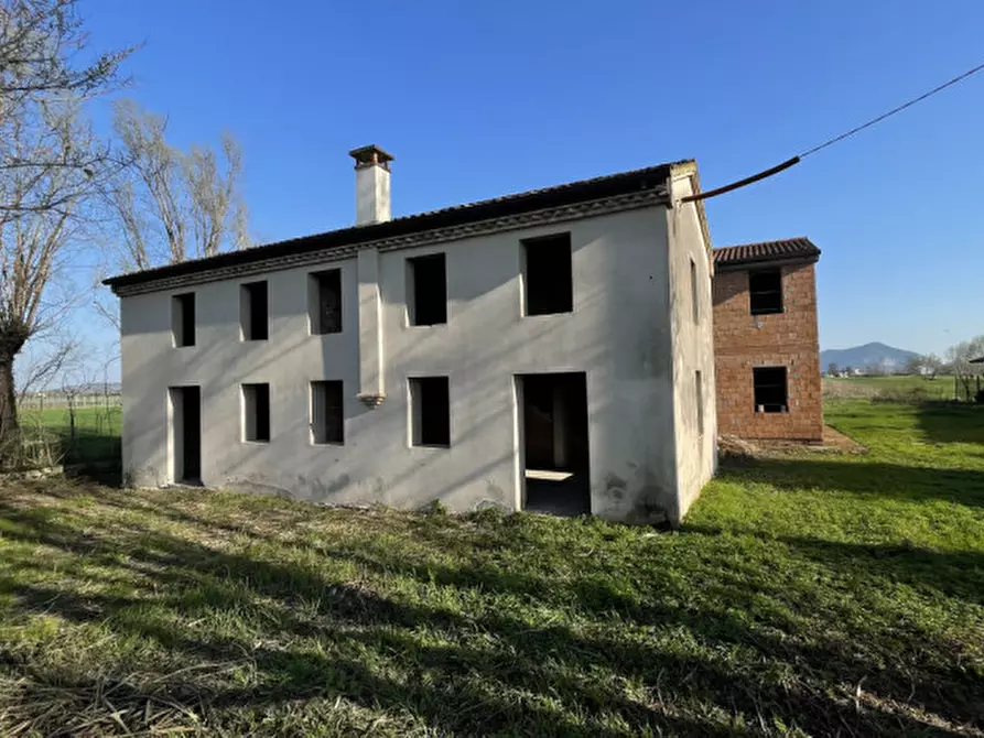 Immagine 3 di Casa indipendente in vendita  in Via Statale a Este