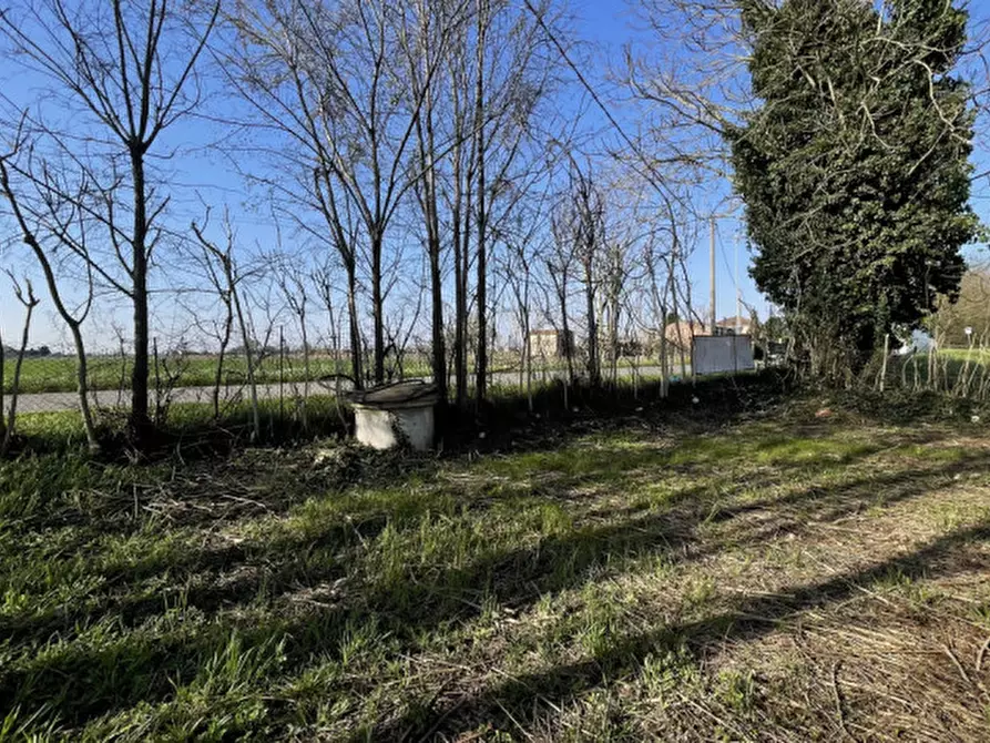 Immagine 45 di Casa indipendente in vendita  in Via Statale a Este