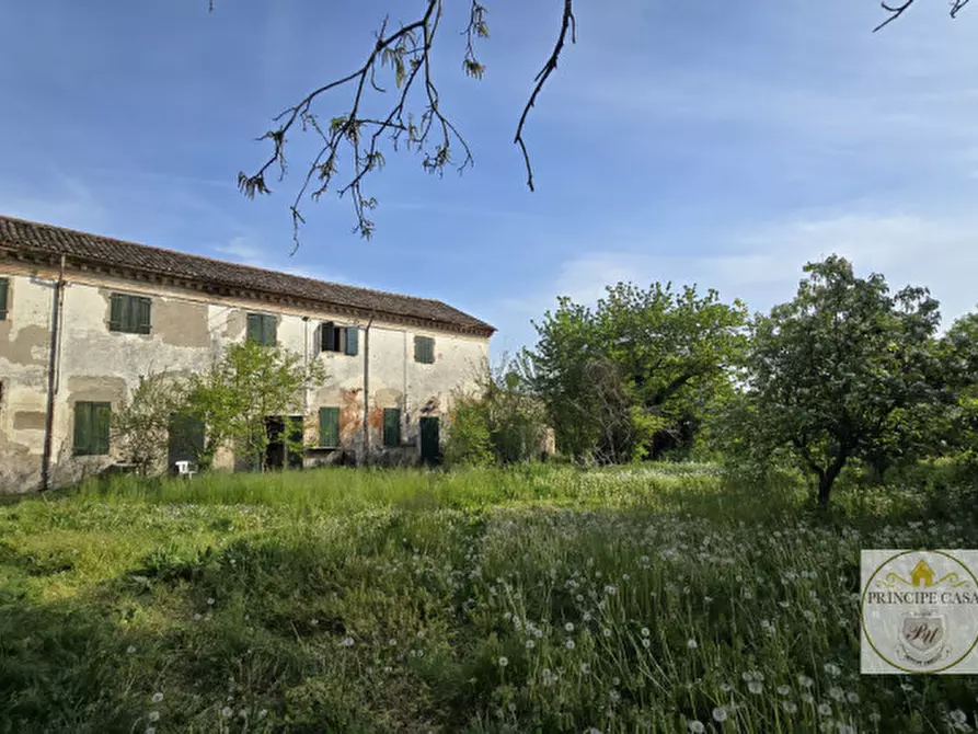 Immagine 42 di Villa in vendita  in via roma a Sant'elena