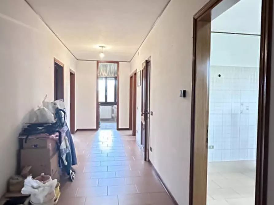 Immagine 4 di Appartamento in vendita  a Borgoricco