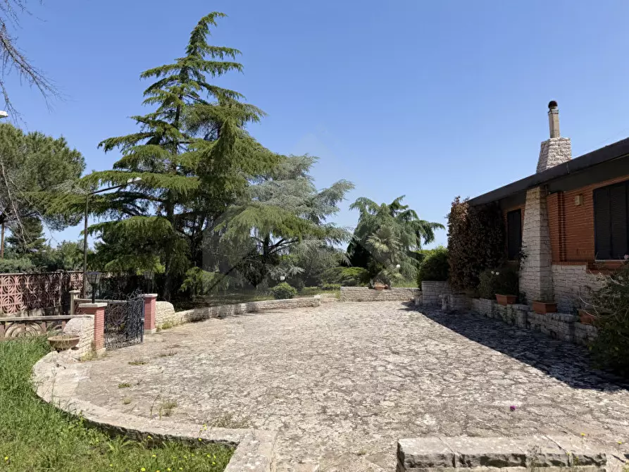 Immagine 8 di Villa in vendita  in Viale Ponticello di Femminamorta a Andria