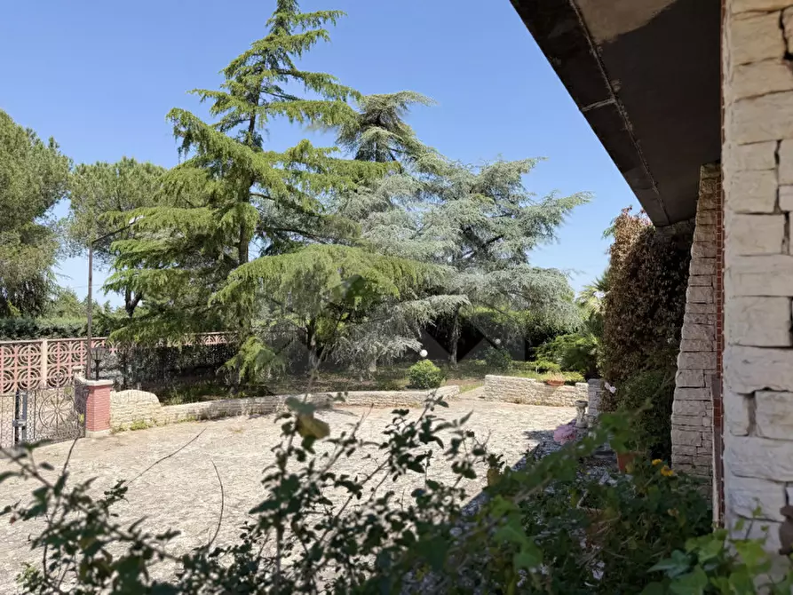 Immagine 11 di Villa in vendita  in Viale Ponticello di Femminamorta a Andria