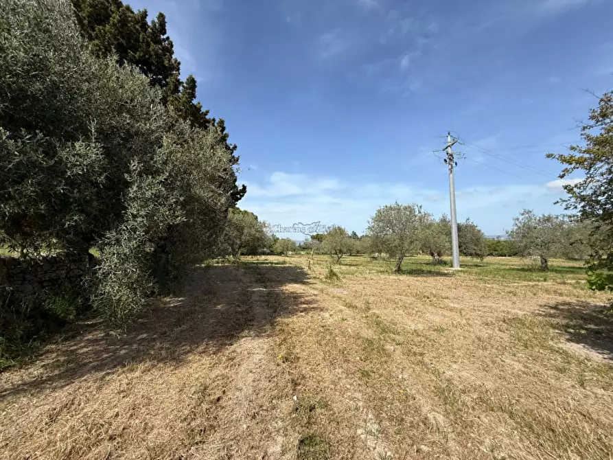 Immagine 26 di Casa indipendente in vendita  a Modica