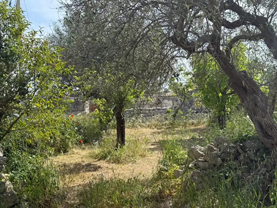 Immagine 29 di Casa indipendente in vendita  a Modica